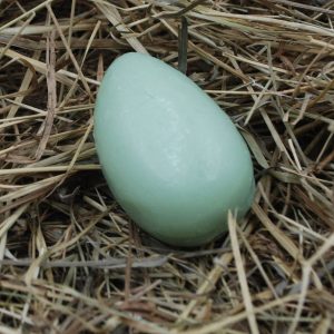 Tvål minitvål oliv Verbena 26g