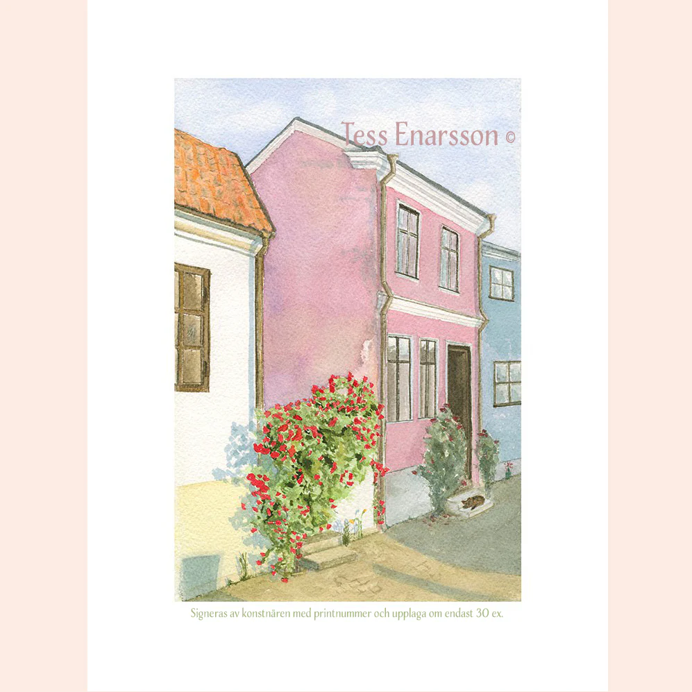 Röda rosor rosa hus - Grafiskt tryck