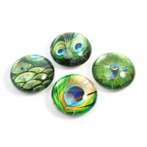 Peacock EYE 4 st - kylskåpsmagneter