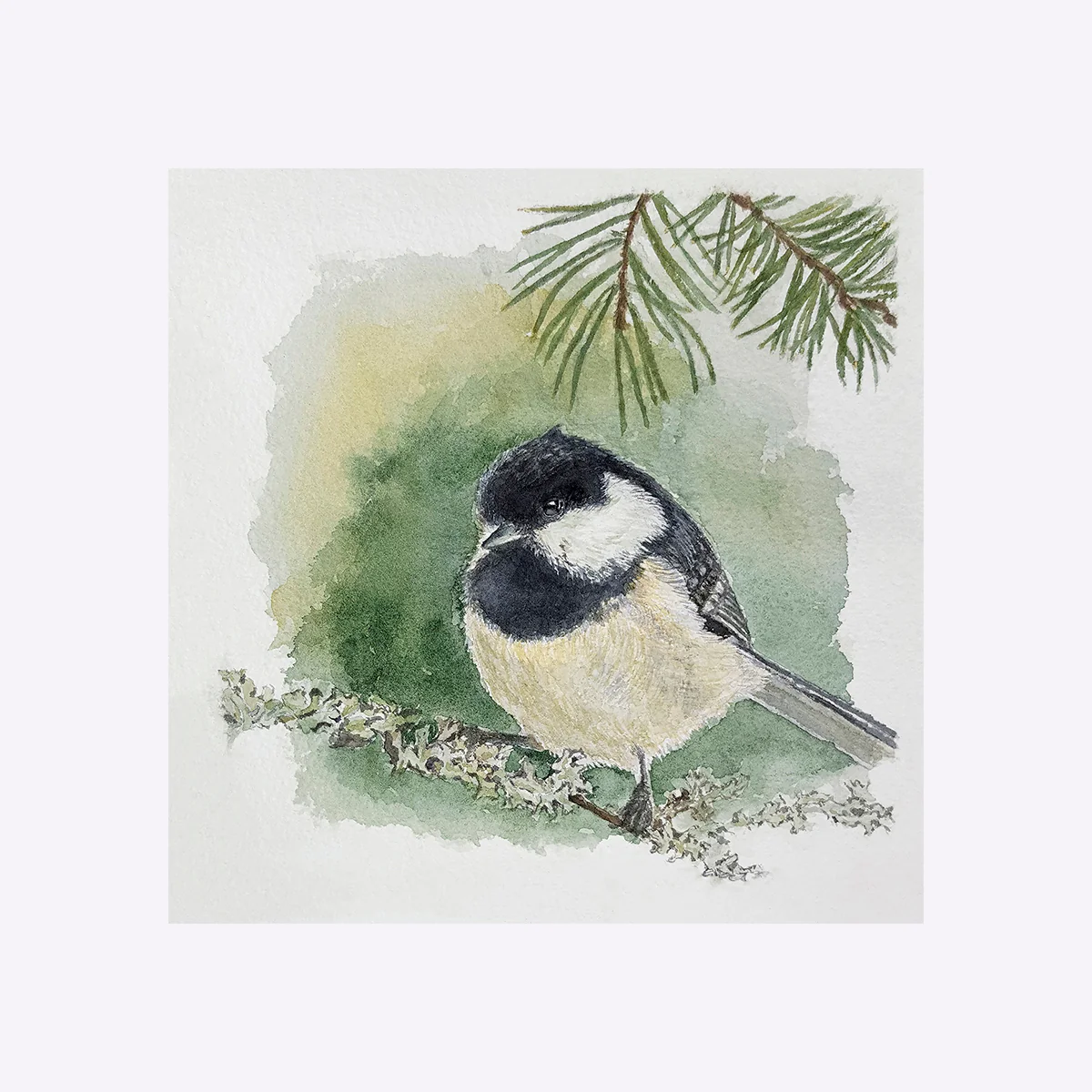 Svartmes - Grafiskt tryck - Bild 2